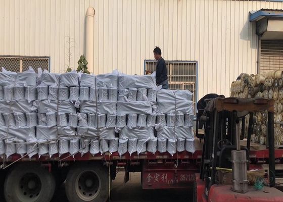 Galvanised Double Loop Q195 BWG16 BWG22 Black Annealed Tie Wire